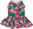 Juicy Watermelon Dog Dress with Matching Leash