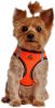 American River Top Stitch Dog Harness - Iridescent Orange