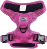Venture Paw Pull Control Dog Harness - Wild Raspberry