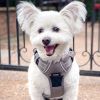 Venture Paw Pull Control Dog Harness - Dried Sage