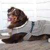 Alpine Tuf Terrain Dog Coat - Dried Sage
