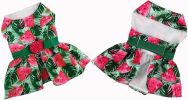 Juicy Watermelon Dog Dress with Matching Leash