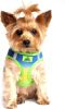 American River Choke Free Dog Harness Ombre Collection - Cobalt Sport