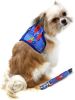 Fabric Dog Harness with Leash - Ukuleles and Surfboards
