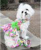 Pink Hawaiian Floral Dog Harness Dress with Matching Leash