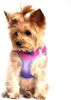 American River Choke Free Dog Harness Ombre Collection - Raspberry Sundae